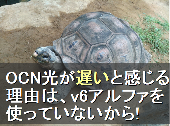 ocn光が遅いのと感じる理由