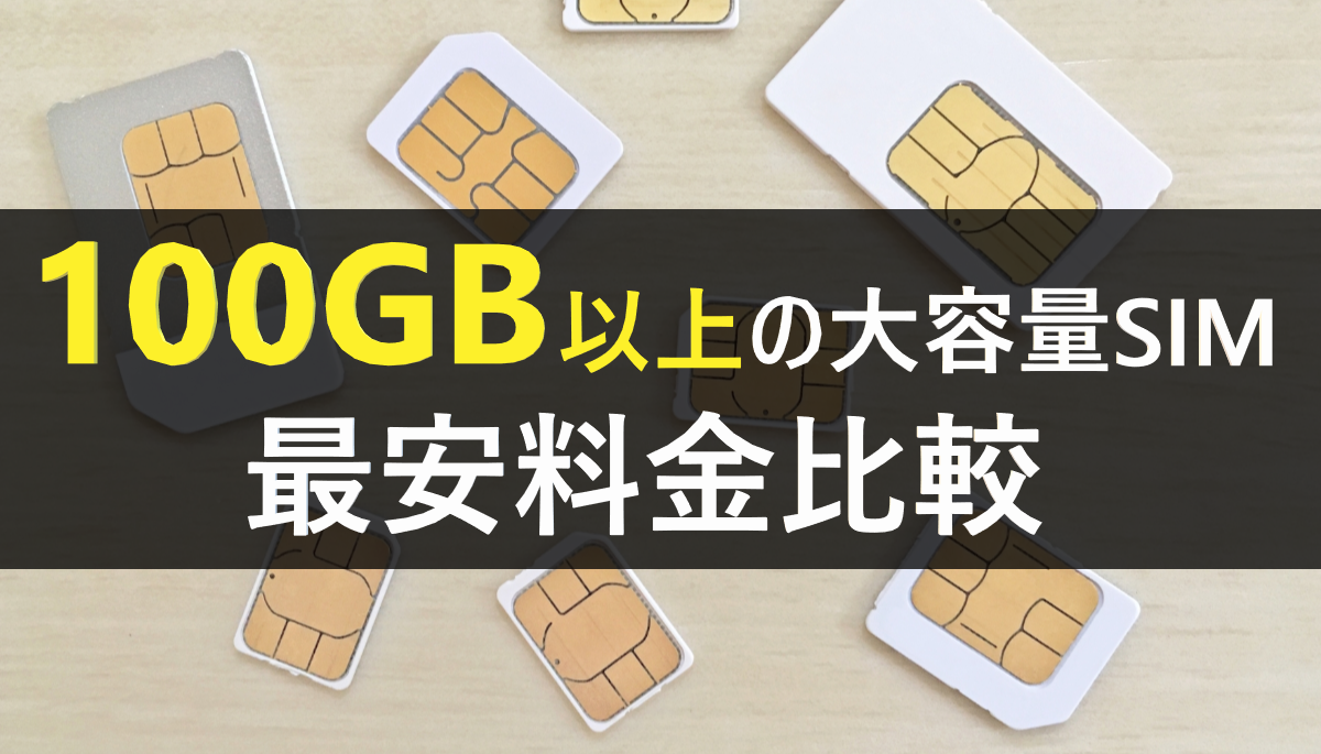 100GB以上の大容量SIM