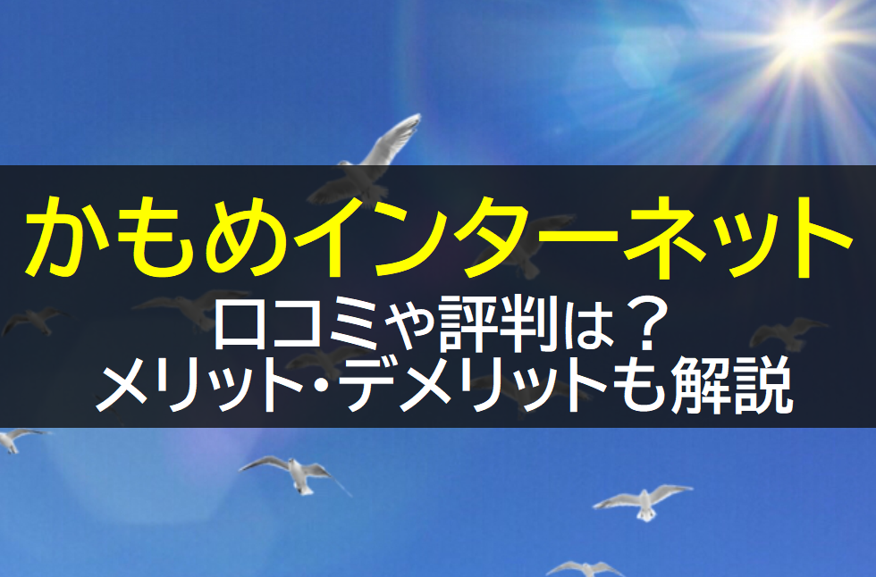 かもめインターネットの評判