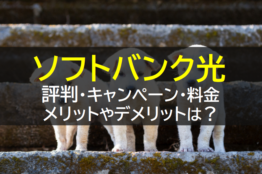 ソフトバンク光の評判や料金