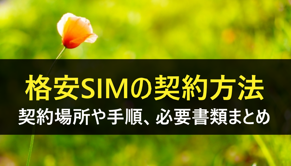 格安SIM契約方法