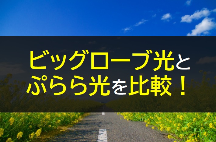 ビッグローブ光とぷらら光を比較